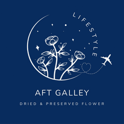 Aftgalley Lifestyle